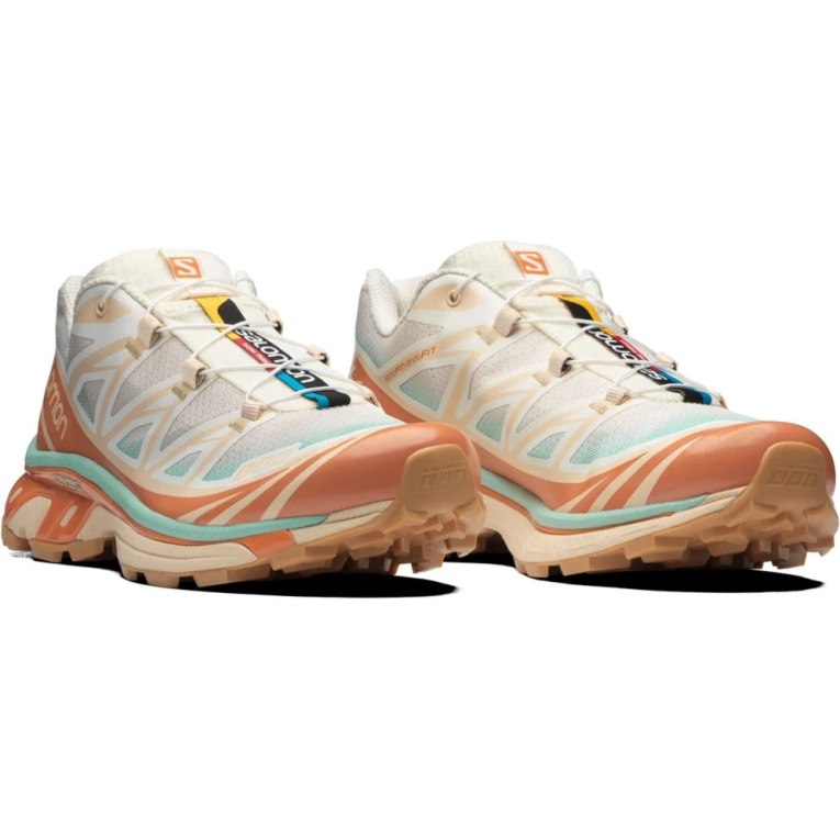 Tenis Salomon Xt-6 Skyline Feminino Multicoloridas | PT D34271